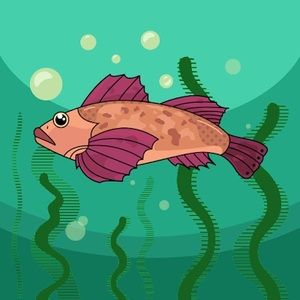 Meet your Posher, Shay